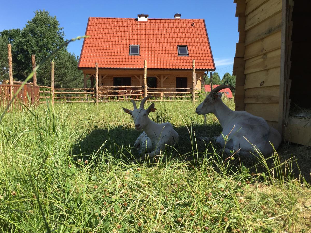 Wypoczynek Na Mazurach U Sebka Łukta Exterior foto
