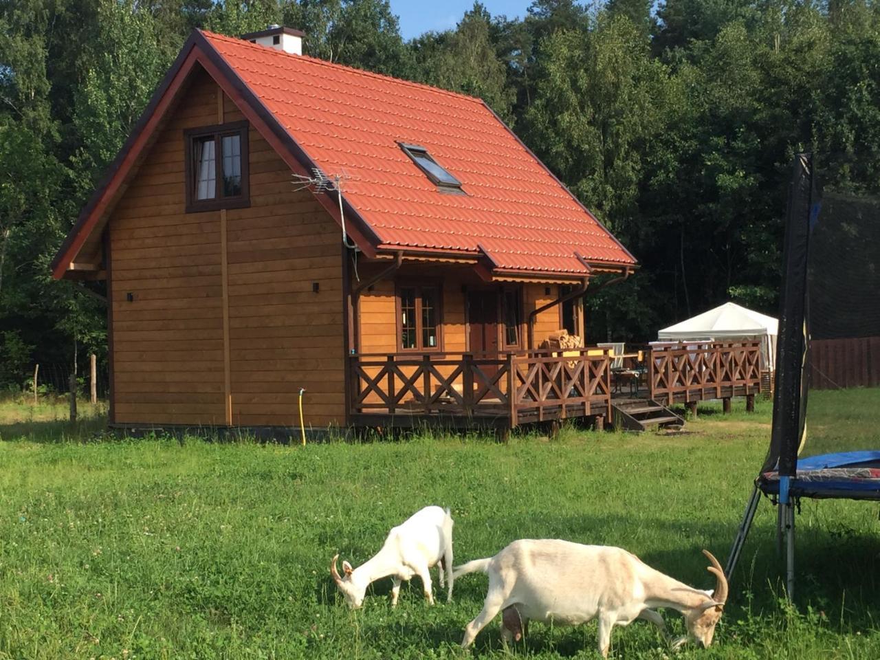 Wypoczynek Na Mazurach U Sebka Łukta Exterior foto